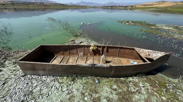 Kahramanmaraş'taki Balık Ölümleri İçin Arka Plan Ne?