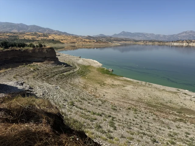 Kahramanmaraş'taki Balık Ölümleri İçin Arka Plan Ne?