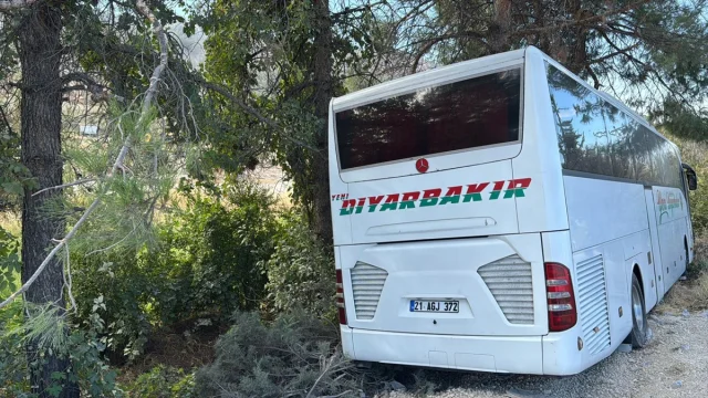 Adıyaman'da Feci Trafik Kazası Can Aldı