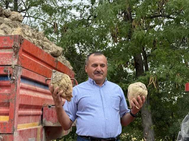 Burdur'da Şeker Kampanyası Açılışı: Çiftçilere Müjde
