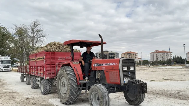Burdur'da Şeker Kampanyası Açılışı: Çiftçilere Müjde