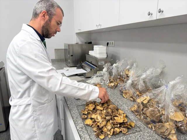 Mantar Zehirlenmelerine Karşı Hayat Kurtaran Öneri: Yanınızda Mutlaka Götürün