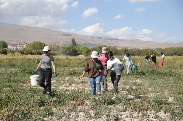 Niğde'de Tarımsal Eğitimde Yenilikler Üzerine Bir Yolculuk