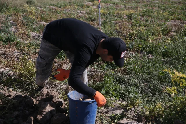 Niğde'de Tarımsal Eğitimde Yenilikler Üzerine Bir Yolculuk