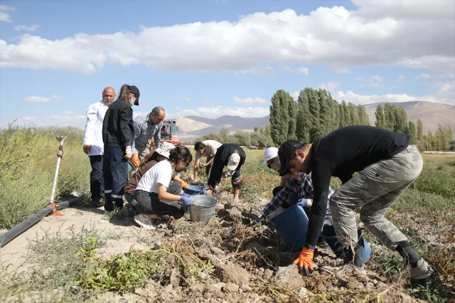 Niğde'de Tarımsal Eğitimde Yenilikler Üzerine Bir Yolculuk