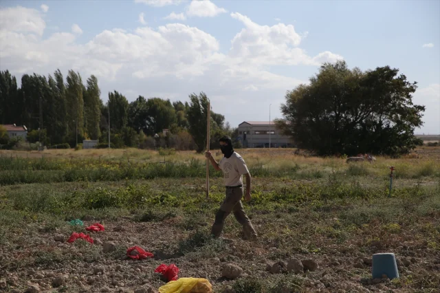 Niğde'de Tarımsal Eğitimde Yenilikler Üzerine Bir Yolculuk
