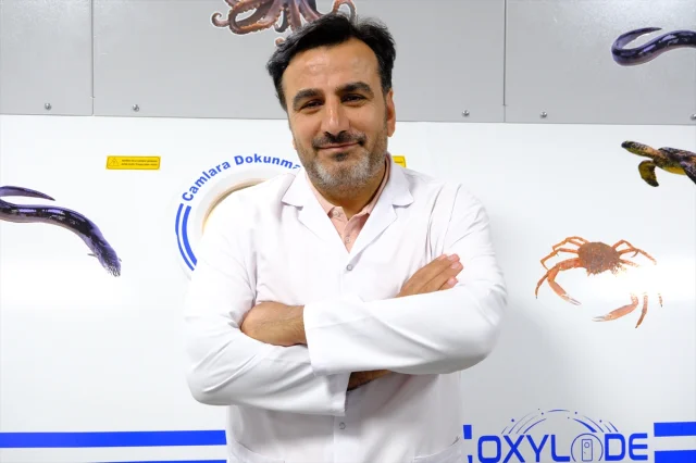 Van'daki Hiperbarik Oksijen Tedavi Merkezi Hastalara Hayat Veriyor