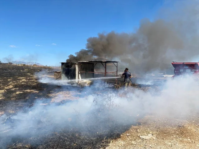 Antalya'da Yangın Faciası: 25 Güvercin Hayatını Kaybetti