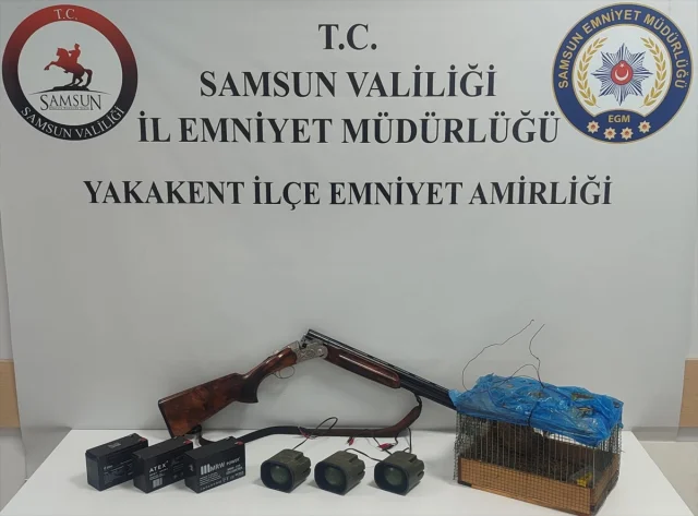 Kaçak Av Tekniği: Samsunlu Şüpheli Bıldırcınla Yakalandı