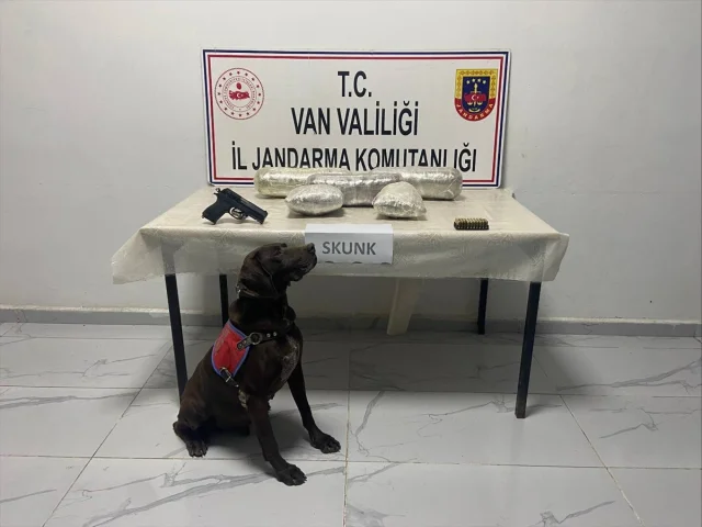 Van'da Uyuşturucu Operasyonu Şok Etti: 4 Kilo 311 Gram Skunk...