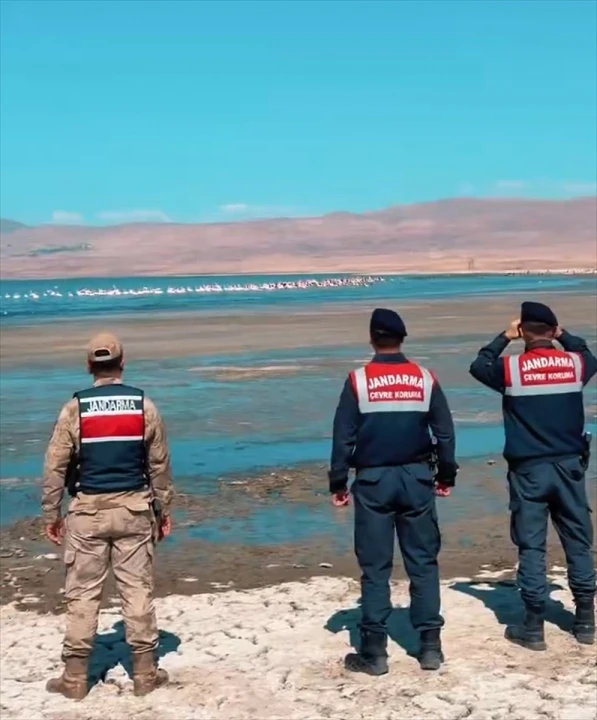 Erçek Gölü'nde Jandarmadan Flamingo Koruma Operasyonu