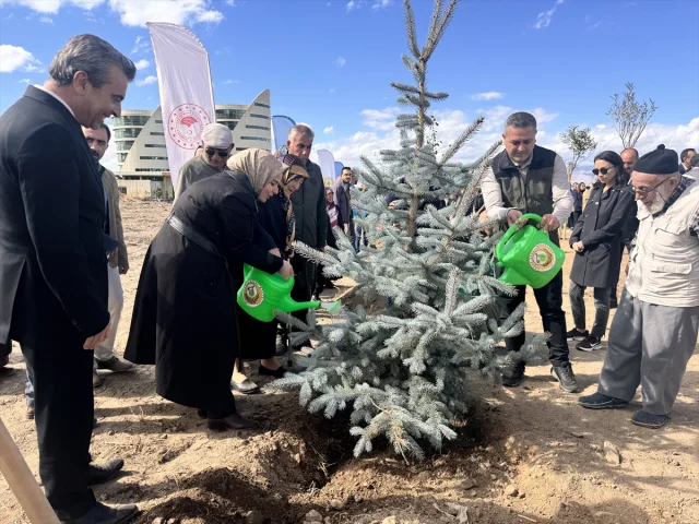 Erzurum'da Sağlık Çalışanları ve Yaşlılardan Anlamlı Fidan Dikimi