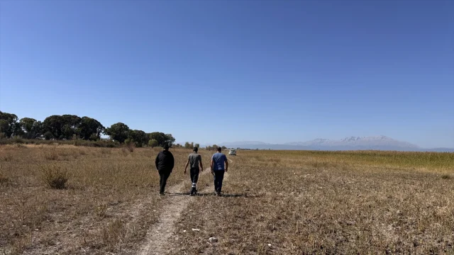Beyşehir Gölü'ndeki Kuraklık Şaşırtıcı Sonuçlar Doğurdu - Kıstıfan Adası ile Kara Buluştu