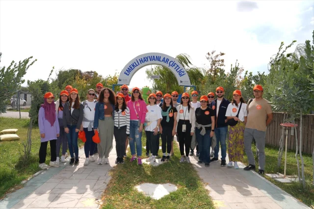 Borusan Gönüllüleri Sokak Hayvanları İçin Harekete Geçti