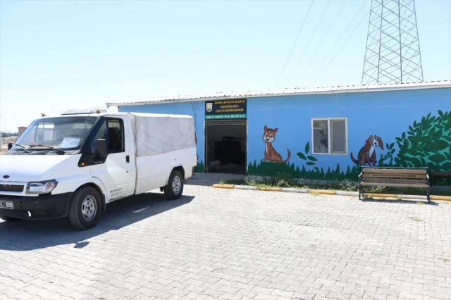 Şanlıurfa'da Atıkların Dönüşümü Hayvanları Besliyor