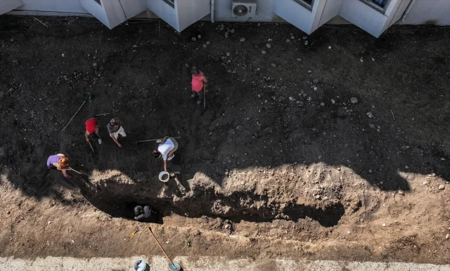 Mersin'de Bilimin Peşinde: Fin Balinası Topraktan Çıkarılıyor