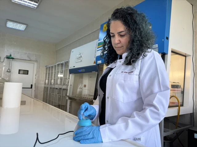 Diyabetik Yaraların İyileşmesinde Bor Mucizesi