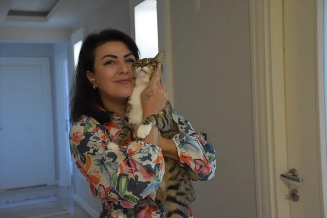 Trabzonlu Hayvanseverin Engelli Kedilere Şefkati
