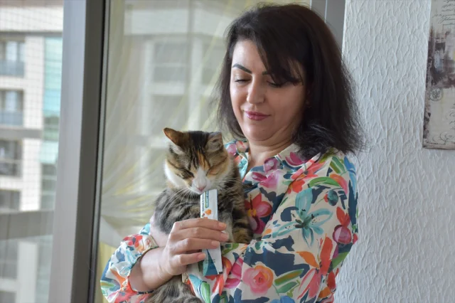 Trabzonlu Hayvanseverin Engelli Kedilere Şefkati