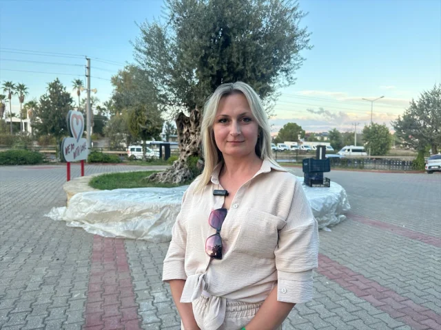 Manavgat'ta 2200 Yıllık Zeytin Ağacı Hayran Bıraktı