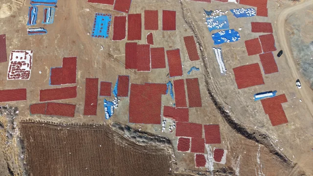 Kilis'te Pul Biber Yapımı Devam Ediyor: Renkli Tarlalar İlgi Çekiyor