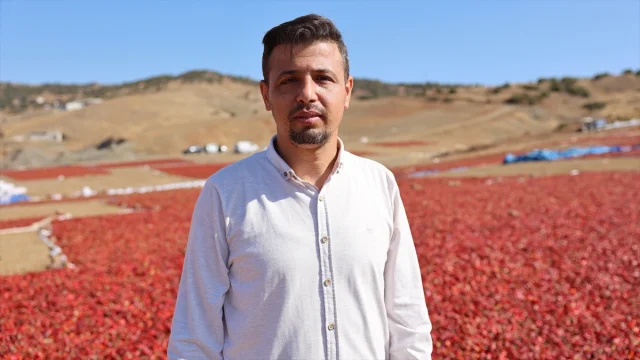 Kilis'te Pul Biber Yapımı Devam Ediyor: Renkli Tarlalar İlgi Çekiyor