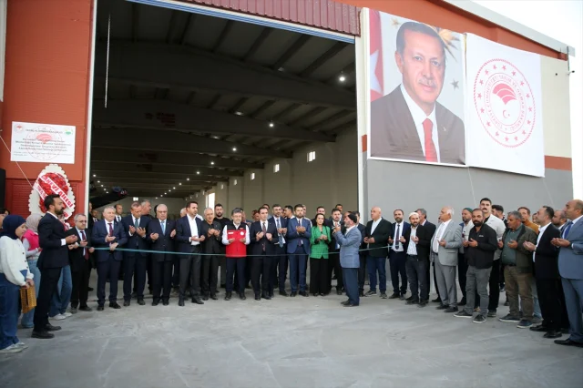 Tarım Sektöründe Heyecan: Bakan Yumaklı Kuru Fasulye Hasadında