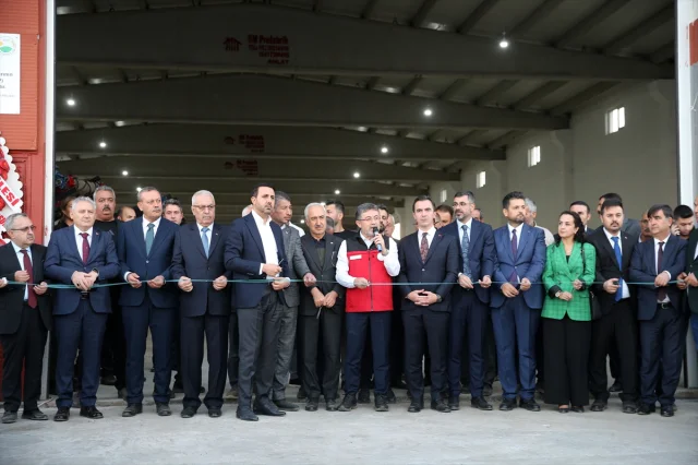 Tarım Sektöründe Heyecan: Bakan Yumaklı Kuru Fasulye Hasadında