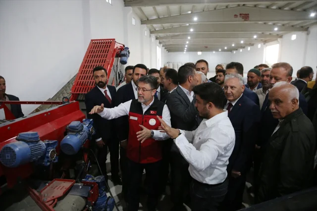 Tarım Sektöründe Heyecan: Bakan Yumaklı Kuru Fasulye Hasadında