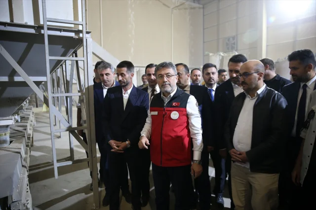 Tarım Sektöründe Heyecan: Bakan Yumaklı Kuru Fasulye Hasadında