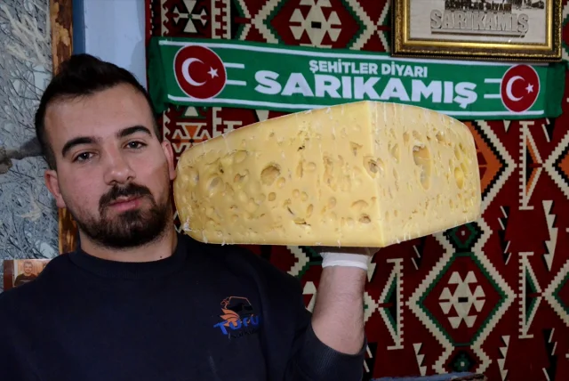 Kars'ta eşsiz tat: Gravyer peyniri sezonu açıldı