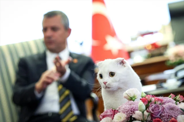 Özgür Özel'den Hayvanları Koruma İçin Anlamlı Mesaj