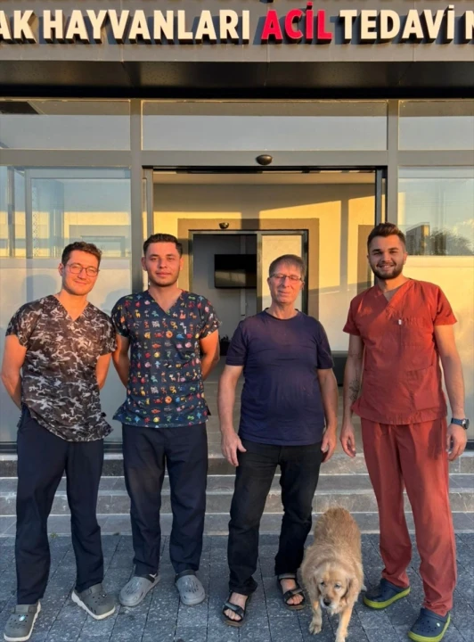 Balıkesir'de kurtarılan köpeğin mucizevi sağlığına kavuşma hikayesi