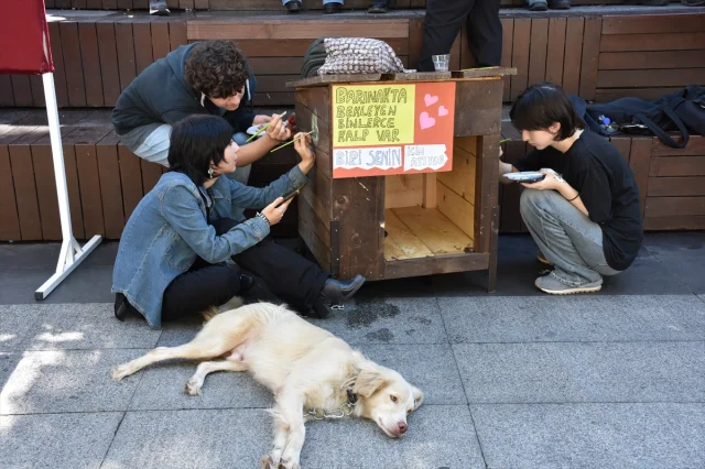 Trabzon'un Hayvansever Çocukları Kulübeleri Sanata Dönüştürd...