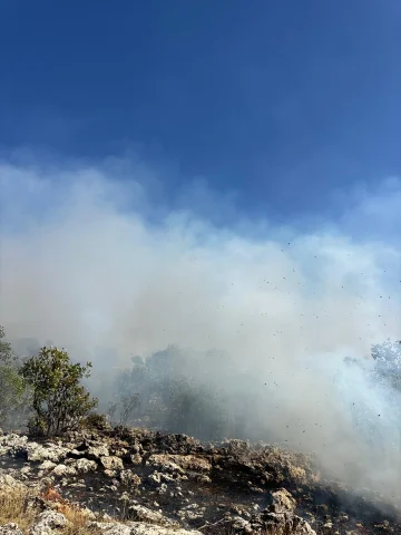 Diyarbakır'da Kırsal Yangın: Ekipler Yoğun Müdahale Ediyor