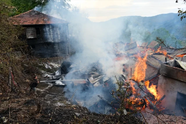 Kastamonu'nun Bozkurt ilçesinde Yangın Felaketi
