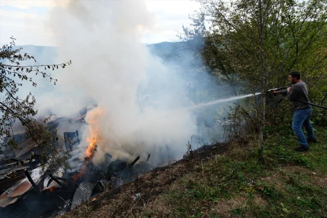 Kastamonu'nun Bozkurt ilçesinde Yangın Felaketi