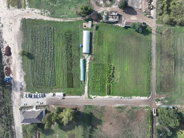 Düzce'nin Atıl Arazileri Kadın ve Gençlerle Hayat Buluyor