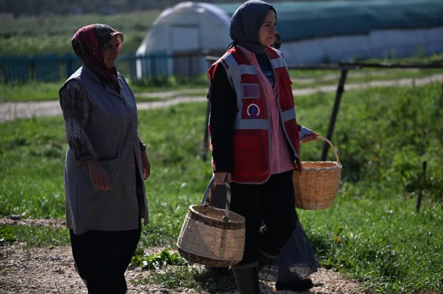 Düzce'nin Atıl Arazileri Kadın ve Gençlerle Hayat Buluyor