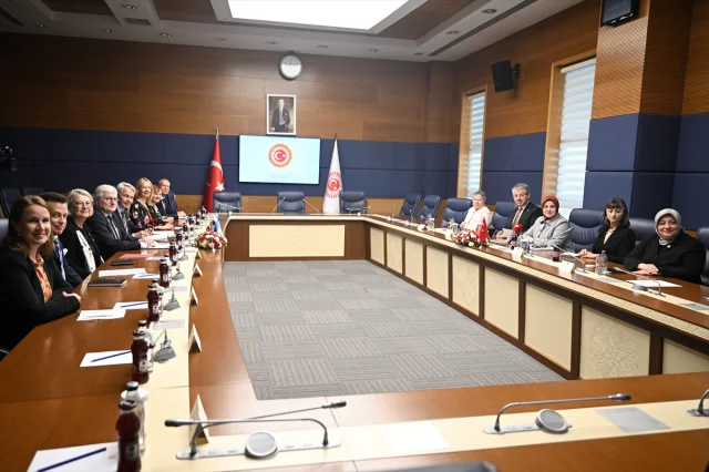 Türkiye ve Finlandiya Arasında Önemli Görüşme: Peki Sonuç Ne Olacak?