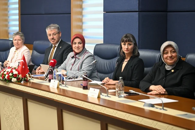 Türkiye ve Finlandiya Arasında Önemli Görüşme: Peki Sonuç Ne Olacak?