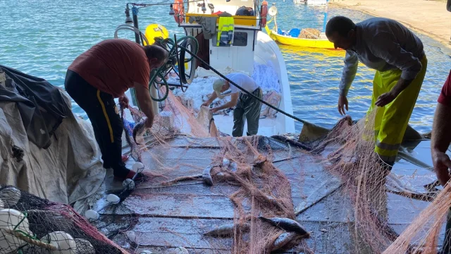 Sinop'ta Balıkçı Erol Büyükbaş'ın İnanılmaz Palamut Avı