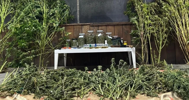 Bursa'da Uyuşturucu Operasyonu Şok Etkisi Yarattı