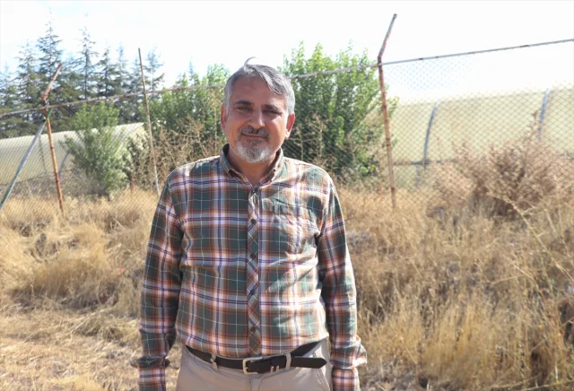 Türkiye'nin İklim Değişikliğine Dirençli Çim İhraç Projesi