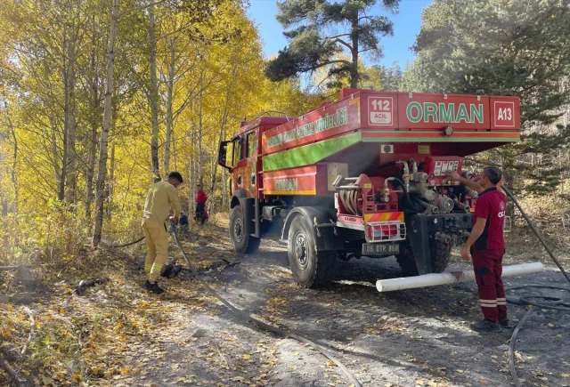 Sarıkamış'ta Yol Açan Yangın: Ormandaki Tahribat ve Sebepleri