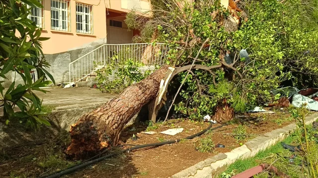 Adana’yı Vuran Fırtına Okul Çatısını Uçurdu: Araçlar Büyük Hasar Gördü