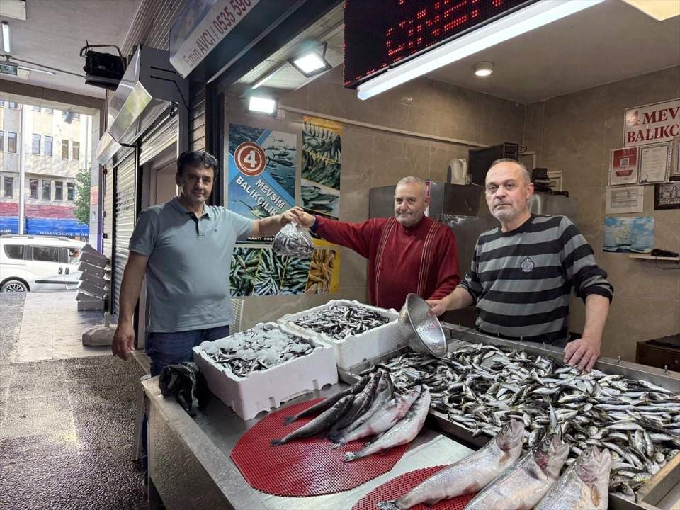 Trabzon'da Balık Avı Sezonu Canlı Başladı: İstavrit Tezgahlarda İlgi Odağı