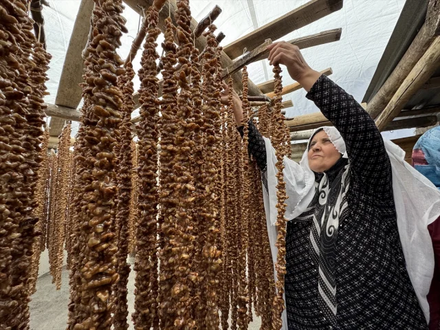 Elazığ'ın geleneksel lezzeti "orcik" üretimi merak uyandırıyor