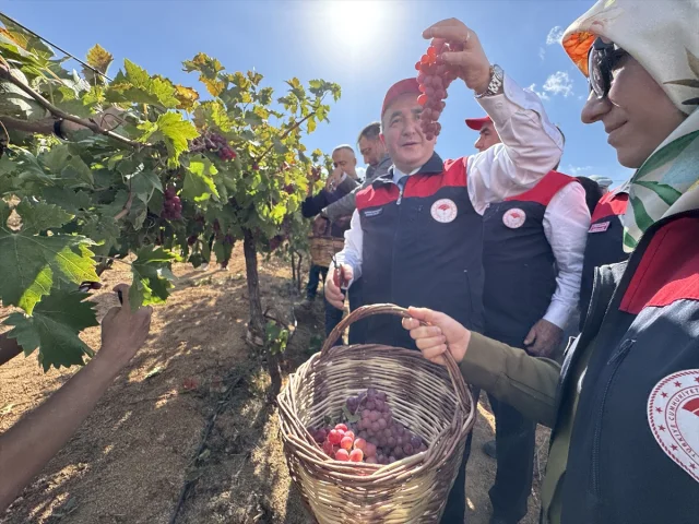 Elazığ'ın geleneksel lezzeti "orcik" üretimi merak uyandırıyor