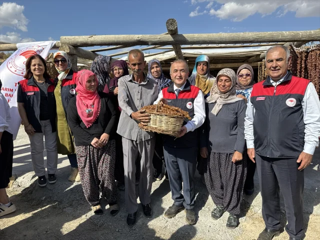 Elazığ'ın geleneksel lezzeti "orcik" üretimi merak uyandırıyor